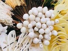 -厕所串串(文殊院店)