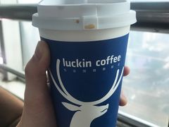 -luckincoffee瑞幸咖啡(新华大厦店)