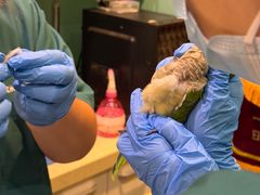 -雨林宠物医院 非犬猫异宠专科