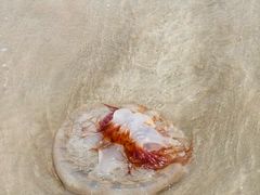 -嵊泗基湖沙滩