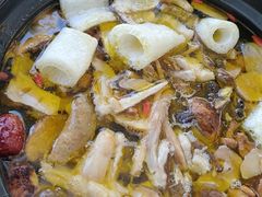 -蘑统田下·野生菌火锅