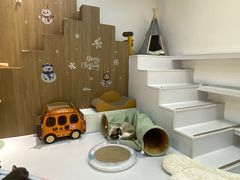 -COLOR PETS 撸猫馆·购猫·猫咖(长风大悦城店)