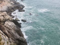 -广东惠东海龟国家级自然保护区