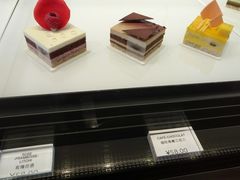 -BLACKSWAN黑天鹅(环球店)
