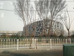 -首都医科大学附属北京天坛医院