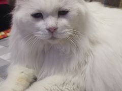 -宠颐生中康贝怡动物医院