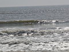 -汕头中海黄金海岸水上乐园