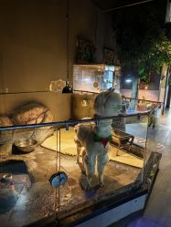 -未来动物城主题公园(正弘城店)