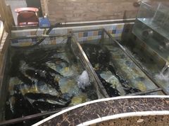 水产区-缘福乡村铁锅炖民宿(八达岭店)
