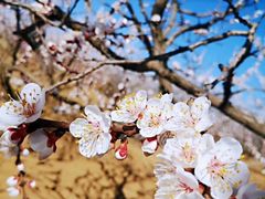 -里口山风景名胜区