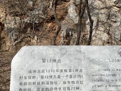 -周口店北京人遗址公园