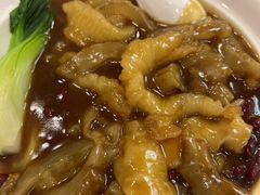 -姚林轩