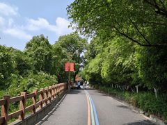 -杭州半山国家森林公园