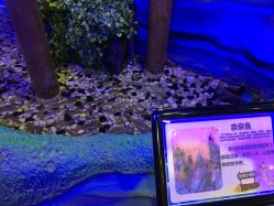 -酷嗒动物文化乐园(cutezoo西溪乐天城店)