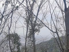 -杭州半山国家森林公园