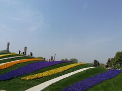 -南通洲际绿博园