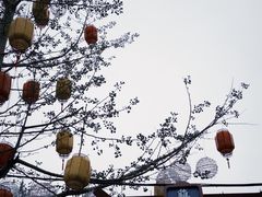 -鸡鸣山公园