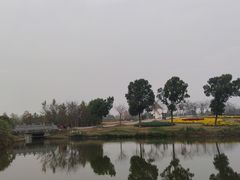 -金卉庄园