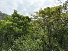 -白塘生态植物园