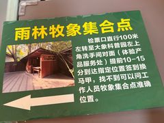 -野象谷景区