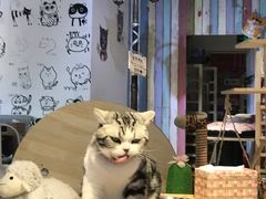 -小时光咖啡馆(开森度假森林店)