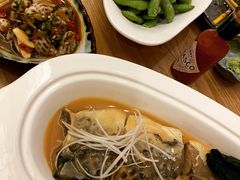 -一本钓鲔鱼屋