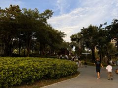 -宝安西湾红树林湿地公园