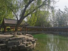 -百脉泉景区