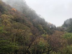 -陕西省红河谷森林公园