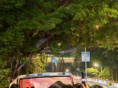 -Big Bus Tours 敞篷观光巴士