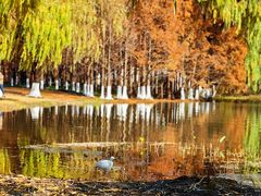 -浙江大学(紫金港校区)