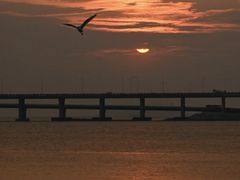 -宝安西湾红树林湿地公园