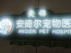 -爱侣·安琦尔宠物医院·中兽医针灸·心内科·狂犬免疫点(宝山区院)