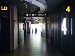 -卢米埃影城(住总万科杜比全景声激光店)