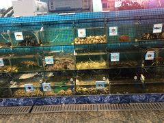 水产区-范饭椰林川湘味海鲜·椰子鸡(三亚湾椰梦长廊店)