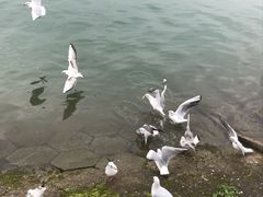 -丰都鬼城名山景区