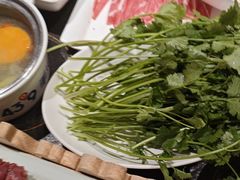 -蒙都43°9羊火锅(平庄店)