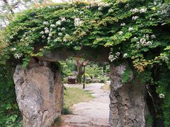 -东莞植物园