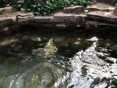 -中家鑫园温泉酒店鑫悦汤泉