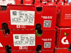 -山姆会员商店(上海浦东店)
