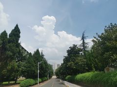 -中南财经政法大学(首义校区)