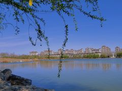-马家湾湿地公园