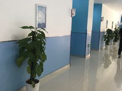 -苏州市妇女儿童活动中心