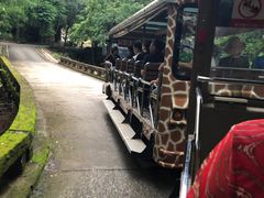 -清迈夜间动物园