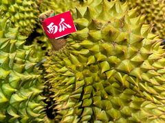 -盒马鲜生(莱蒙都会店)
