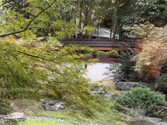 -久宴·天目湖大鱼头(恐龙园店)