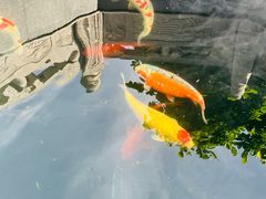 -西安市广仁寺