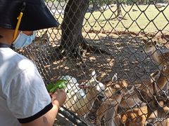 -西安秦岭野生动物园