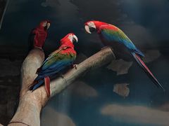 -石家庄市动物园