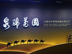 大唐西市博物馆-西安大唐西市博物馆